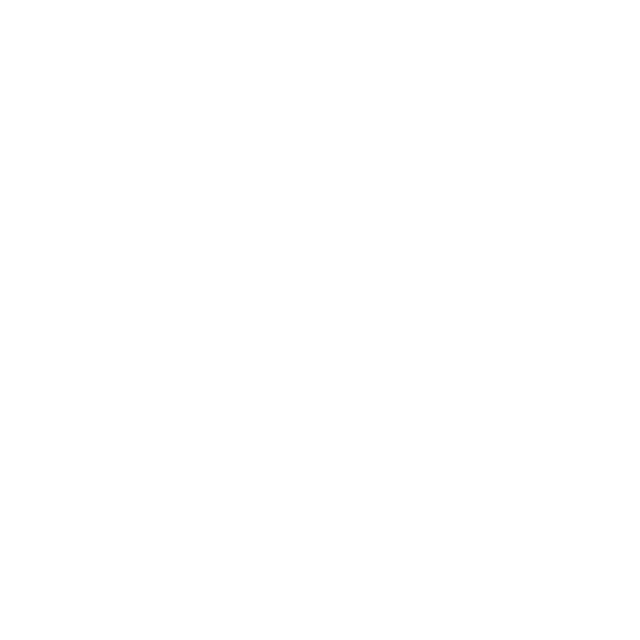 bronze PBIS award