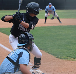 Bulldog at bat