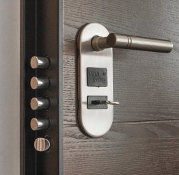 door with locks