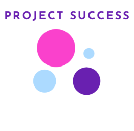 Project Success