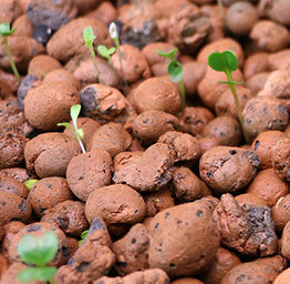 Aquaponics Rocks