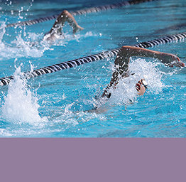 Swimmers