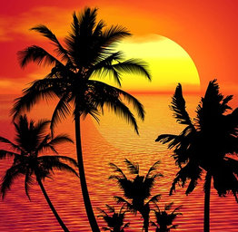 Sunset with palm trees