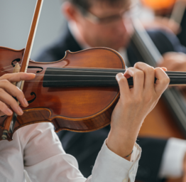 Orchestra