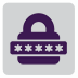 Password Icon 