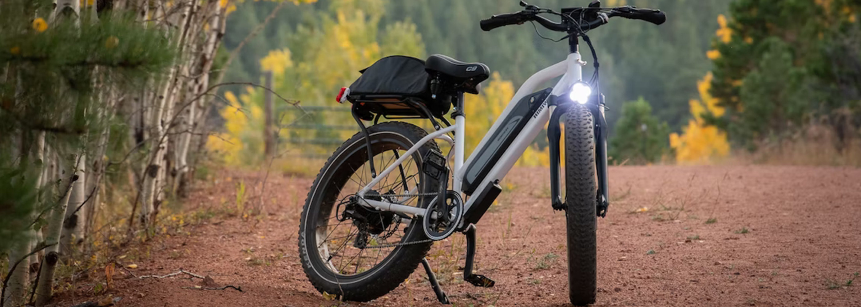 EBike parked in wilderness