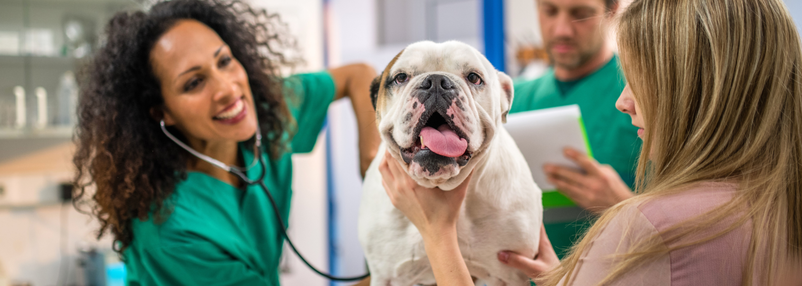 Animal Healthcare