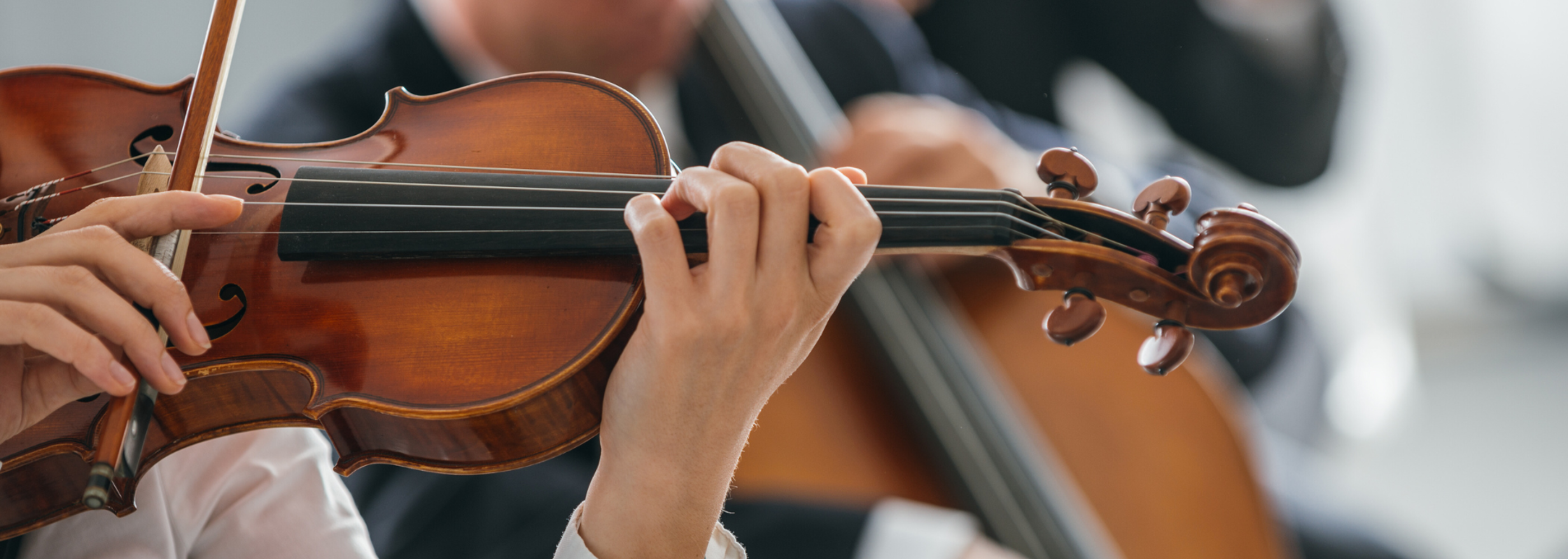 Orchestra