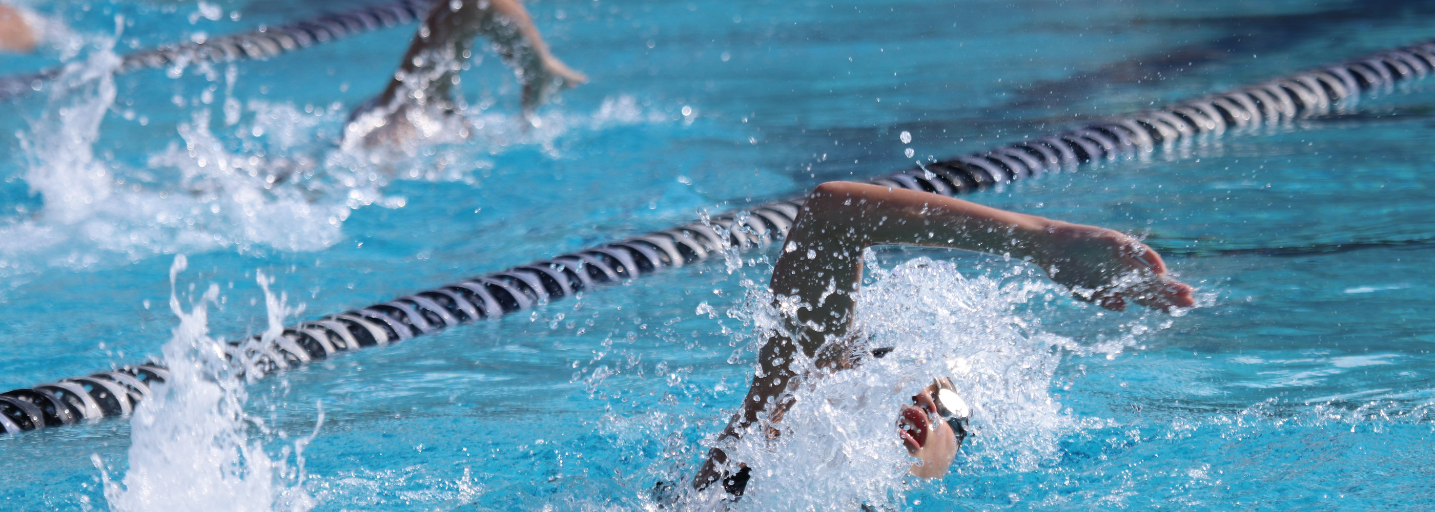 Person swimming in lane