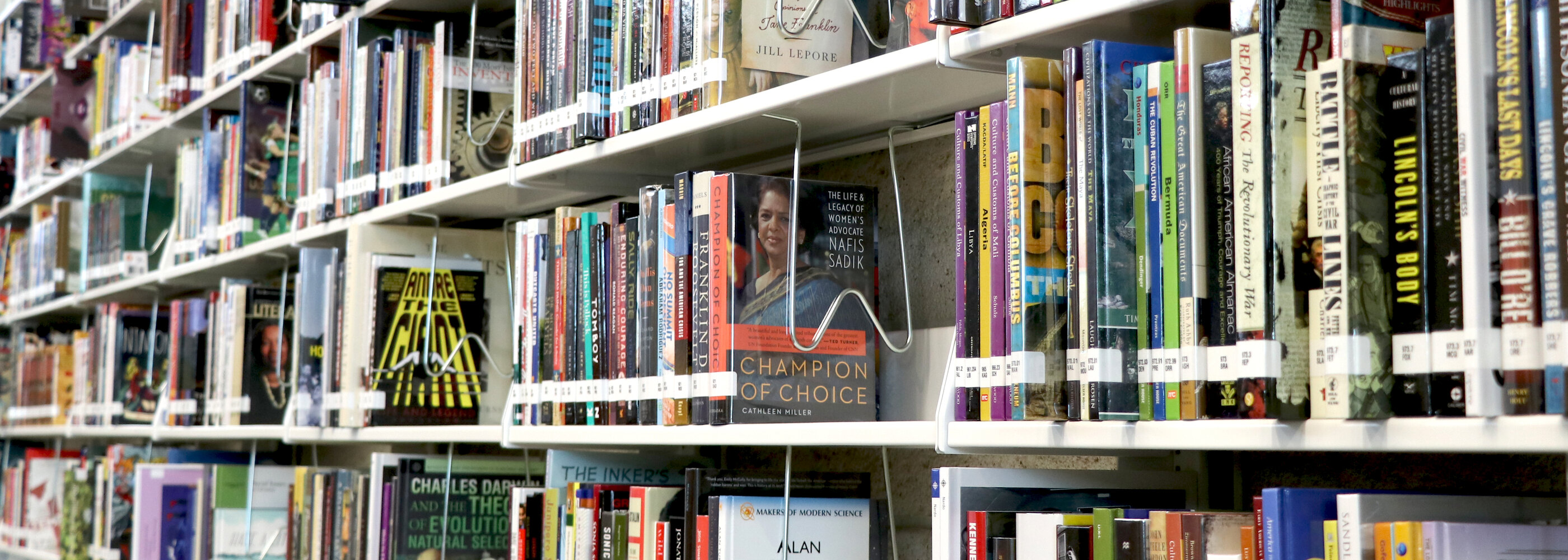 Books on shelves